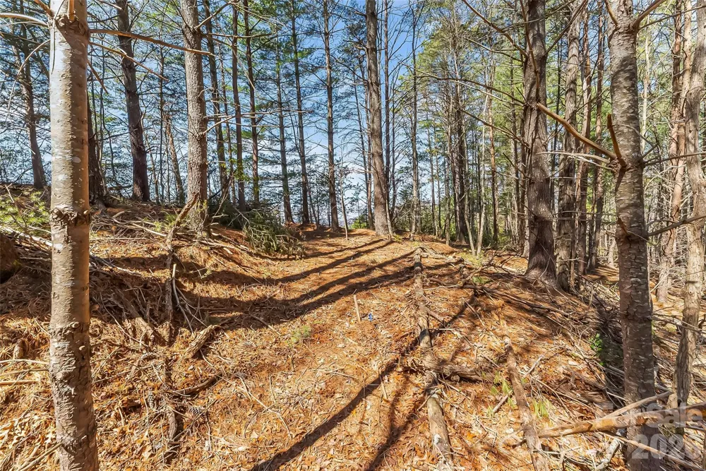 121 Lake Crest Drive #lot 37 & 36 Nebo, NC 28761