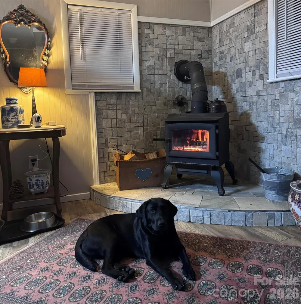 450 W Piney Mountain Road Whittier, NC 28789