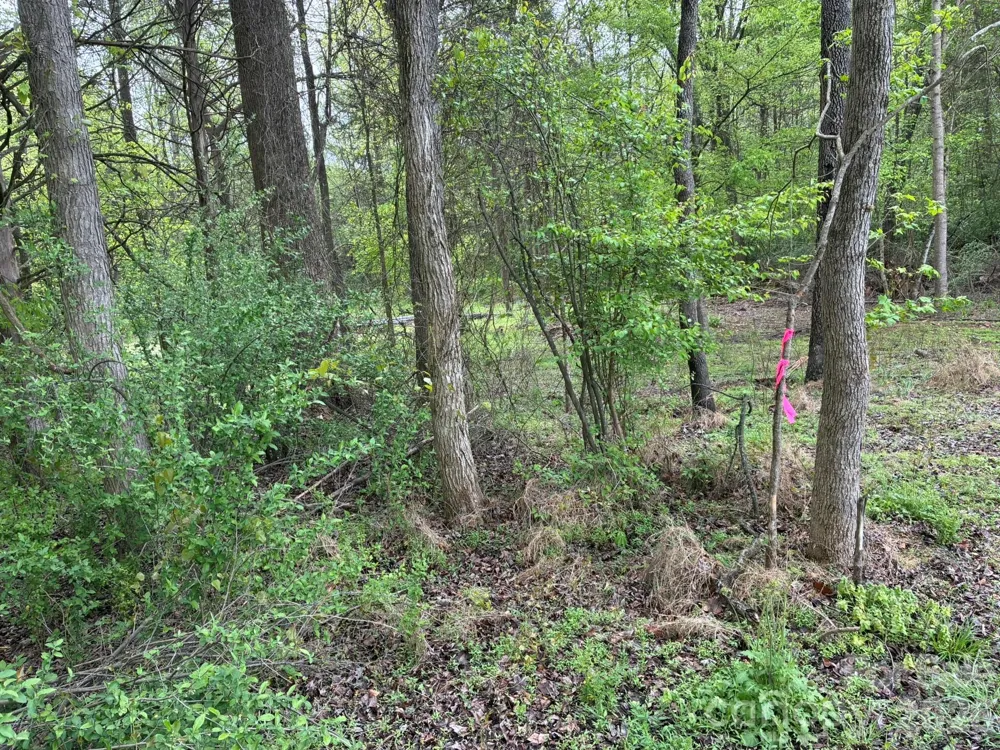 1 Miller Pond Road Rock Hill, SC 29732