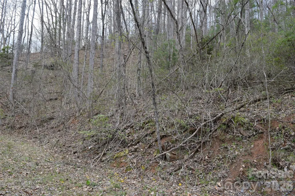 TBD Bel Air Road #20 Cullowhee, NC 28723