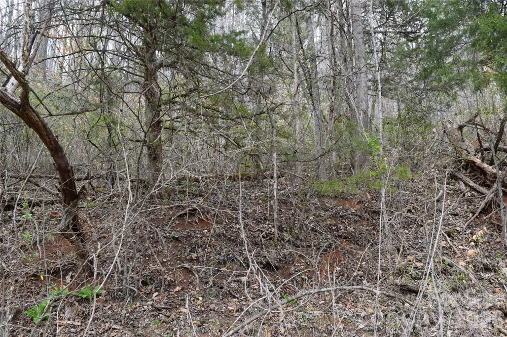 TBD Bel Air Road #20 Cullowhee, NC 28723