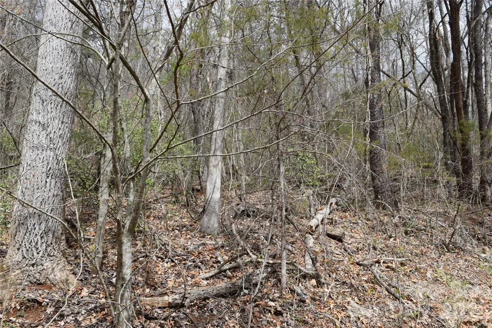 TBD Bel Air Road #20 Cullowhee, NC 28723