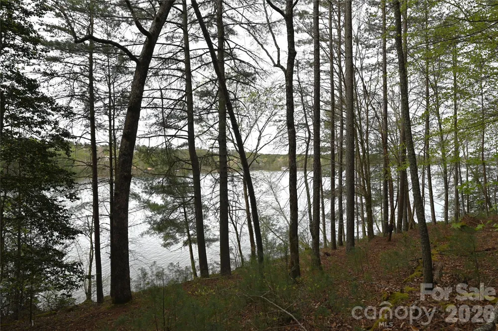 2299 Lighthouse Lane #76 Connelly Springs, NC 28612