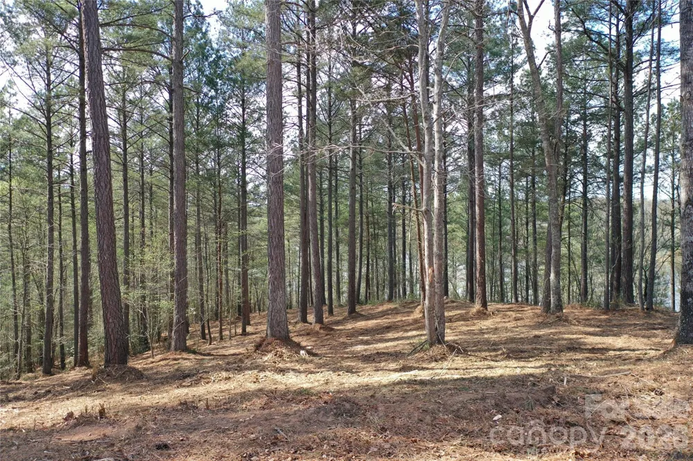 2299 Lighthouse Lane #76 Connelly Springs, NC 28612