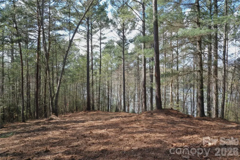 2299 Lighthouse Lane #76 Connelly Springs, NC 28612