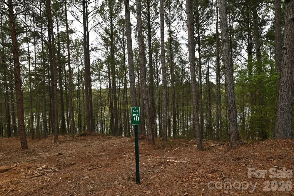 2299 Lighthouse Lane #76 Connelly Springs, NC 28612
