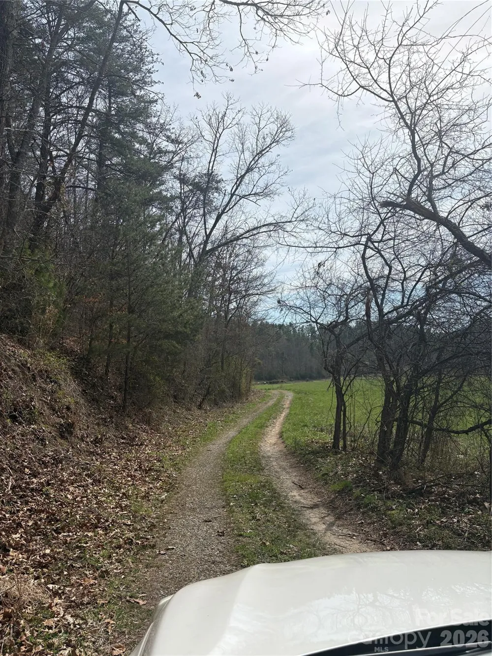242 area Radford Road #1 Mars Hill, NC 28754