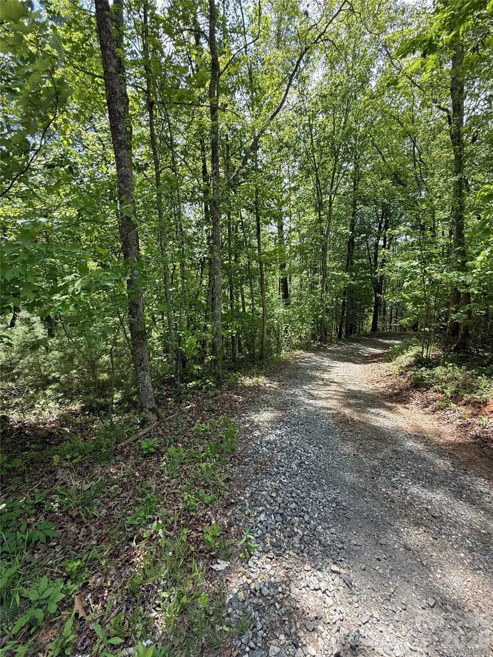 242 area Radford Road #1 Mars Hill, NC 28754