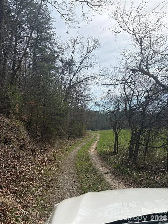 242 area Radford Road #3 Mars Hill, NC 28754
