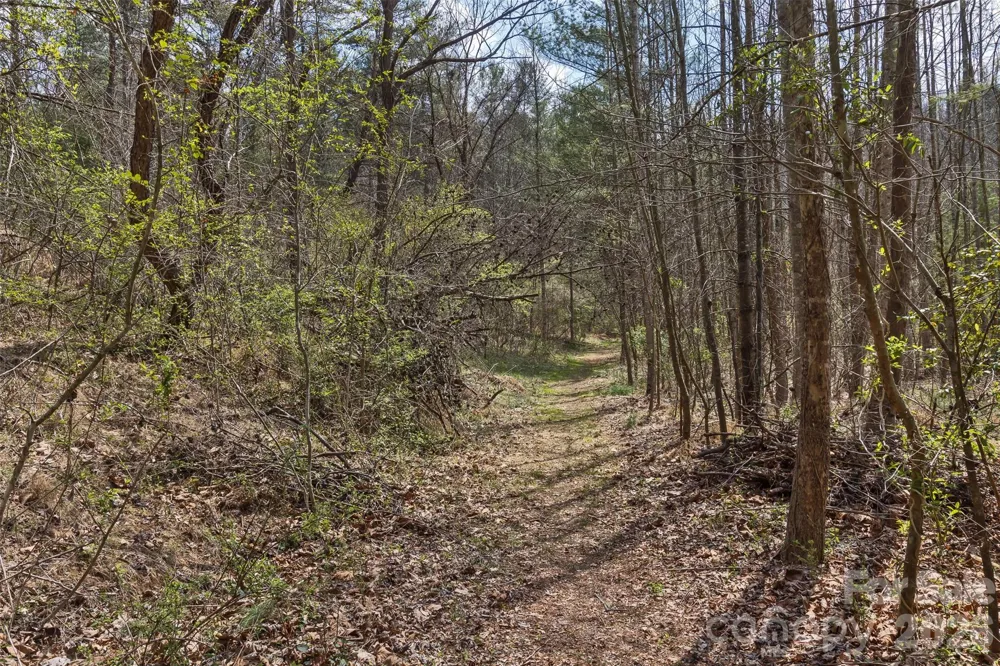 37 Creekside View Drive Asheville, NC 28804