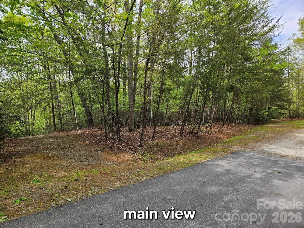81 Mill Ridge Road Nebo, NC 28761