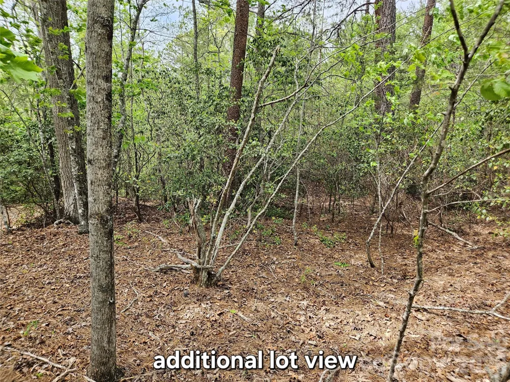 81 Mill Ridge Road Nebo, NC 28761