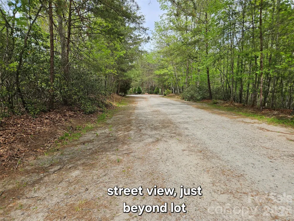 81 Mill Ridge Road Nebo, NC 28761