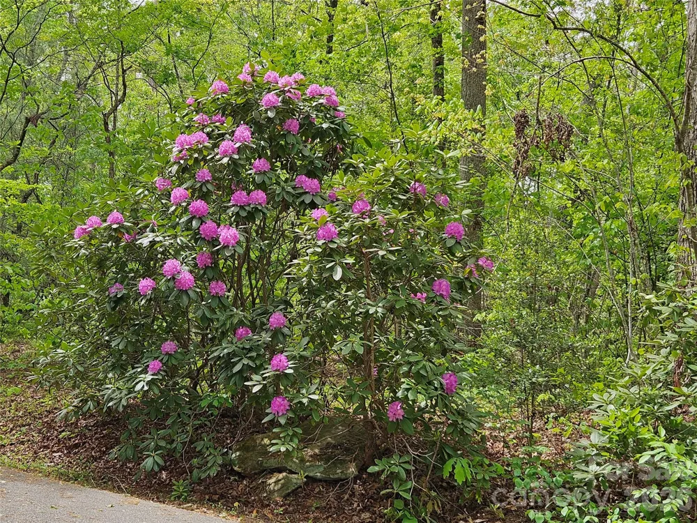 81 Mill Ridge Road Nebo, NC 28761