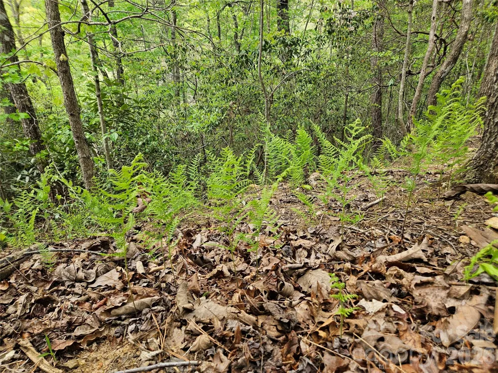 81 Mill Ridge Road Nebo, NC 28761