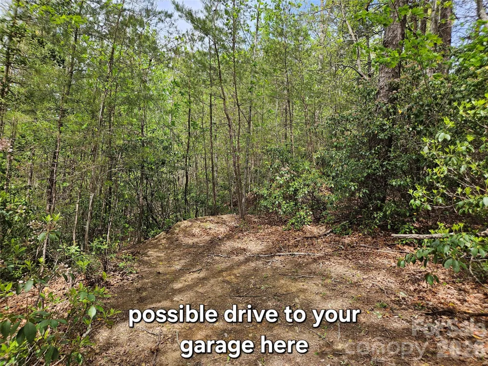 81 Mill Ridge Road Nebo, NC 28761