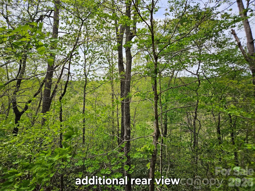 81 Mill Ridge Road Nebo, NC 28761