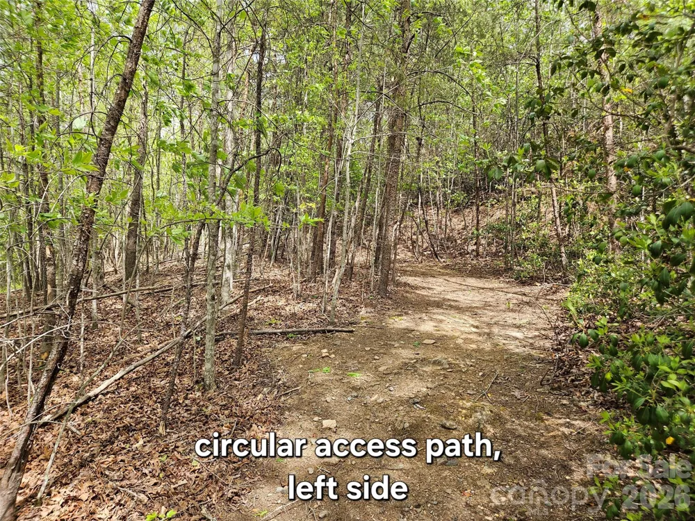 81 Mill Ridge Road Nebo, NC 28761