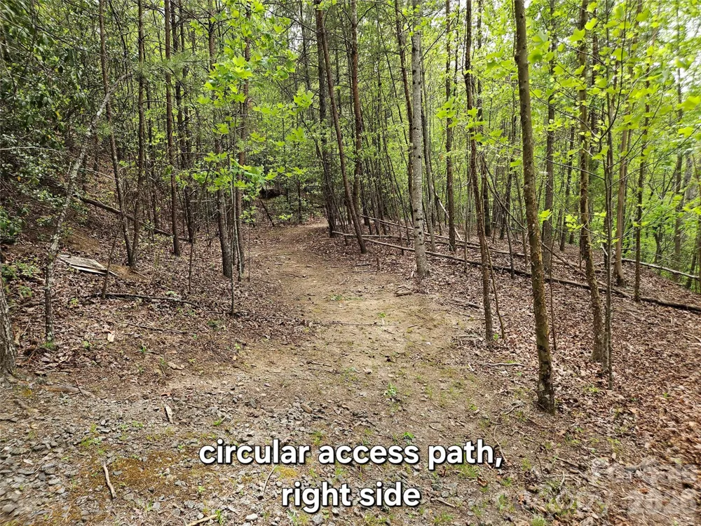 81 Mill Ridge Road Nebo, NC 28761