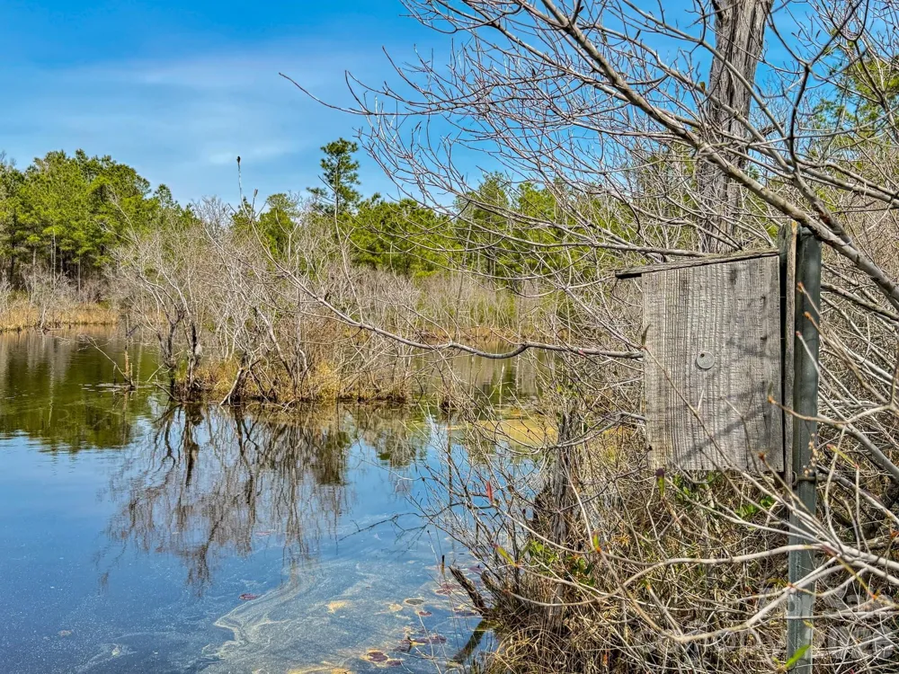 0 Lobelia Road Vass, NC 28394