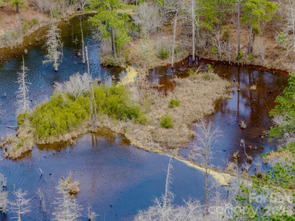 0 Lobelia Road Vass, NC 28394