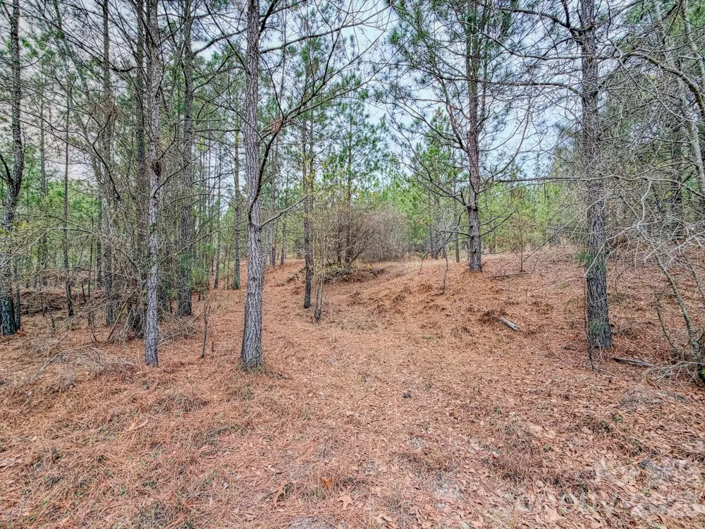 0 Lobelia Road Vass, NC 28394