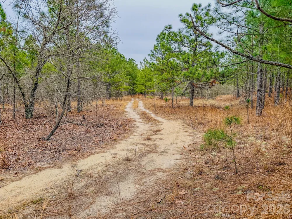 0 Lobelia Road Vass, NC 28394