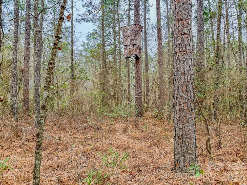 0 Lobelia Road Vass, NC 28394