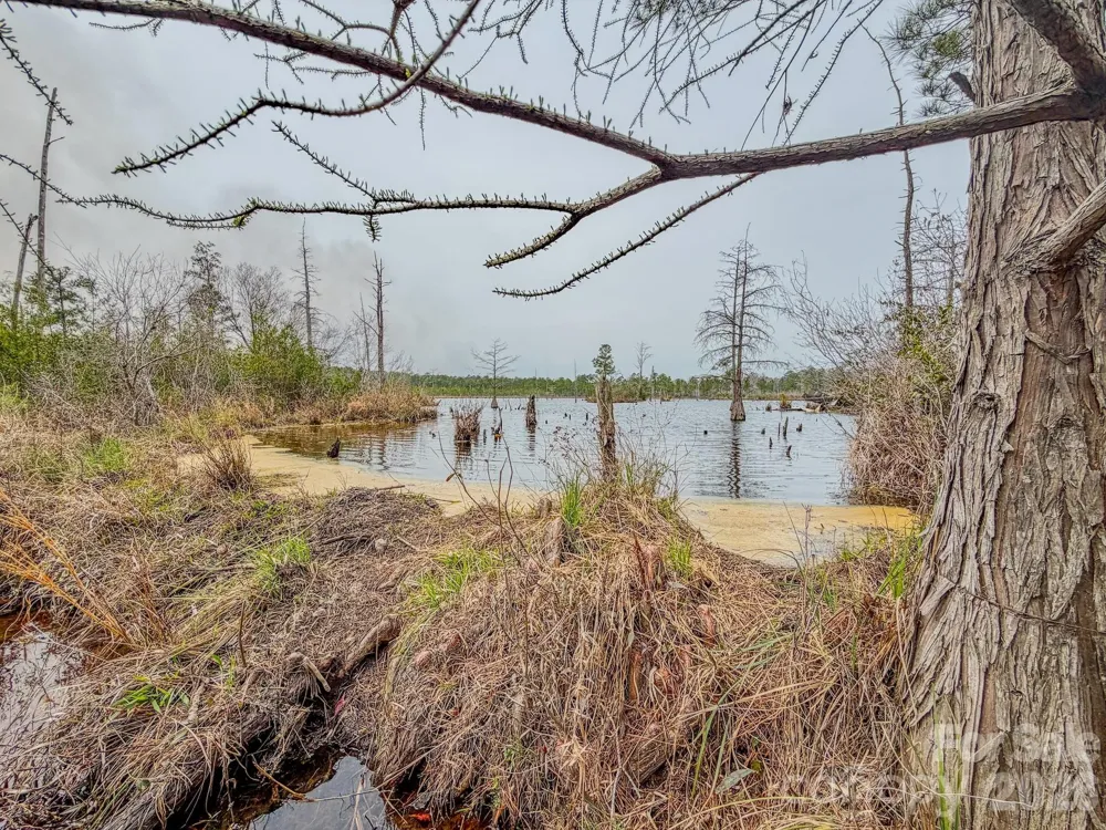 0 Lobelia Road Vass, NC 28394