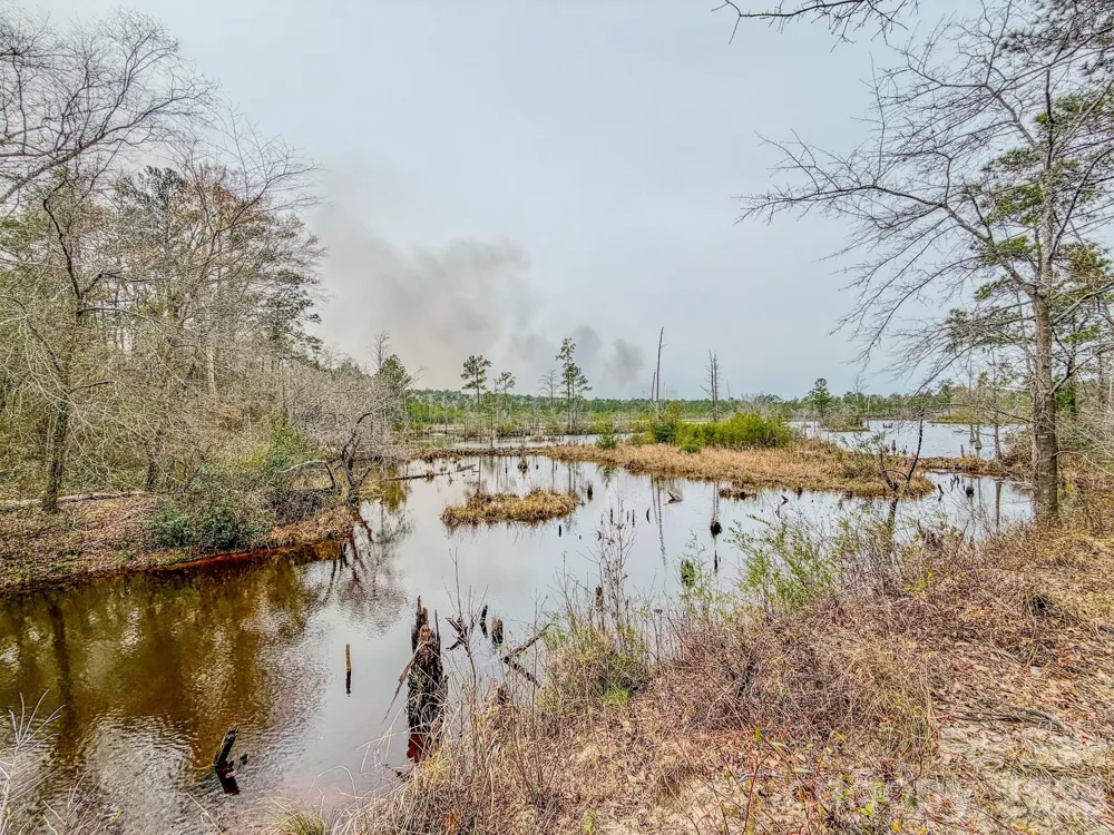 0 Lobelia Road Vass, NC 28394