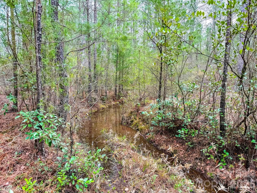 0 Lobelia Road Vass, NC 28394