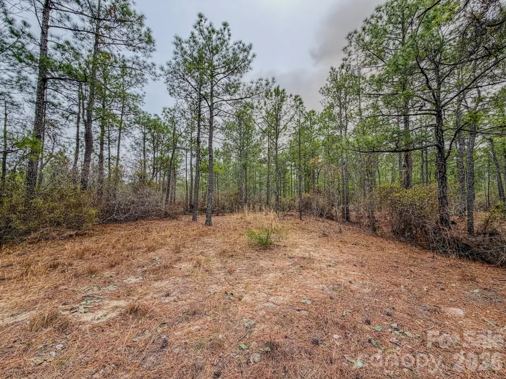 0 Lobelia Road Vass, NC 28394