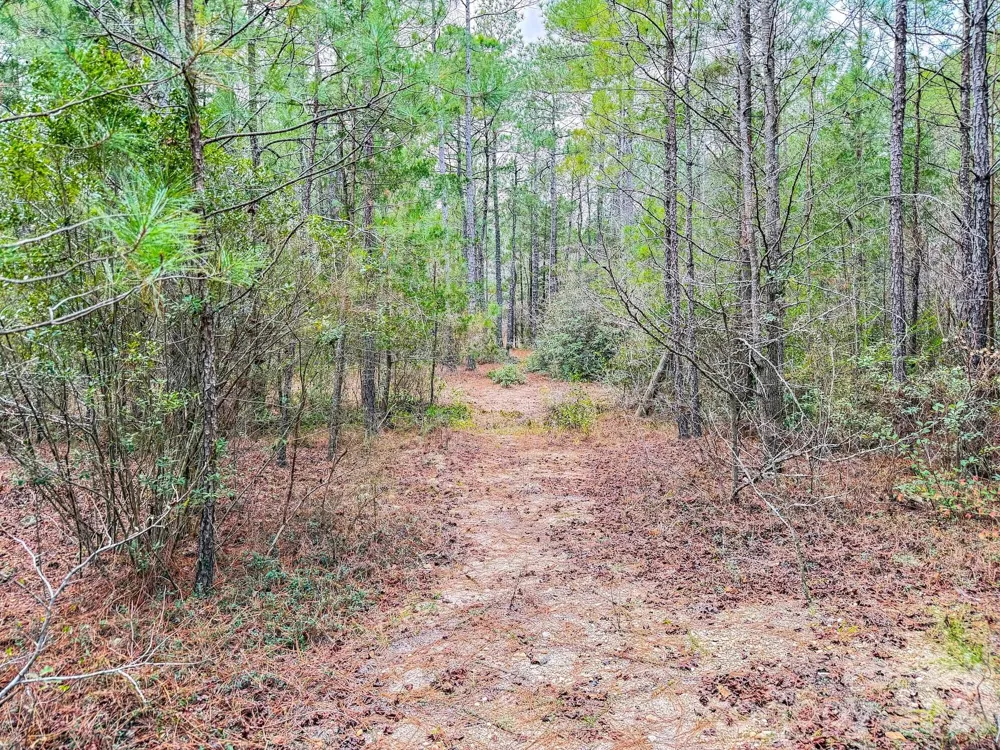 0 Lobelia Road Vass, NC 28394