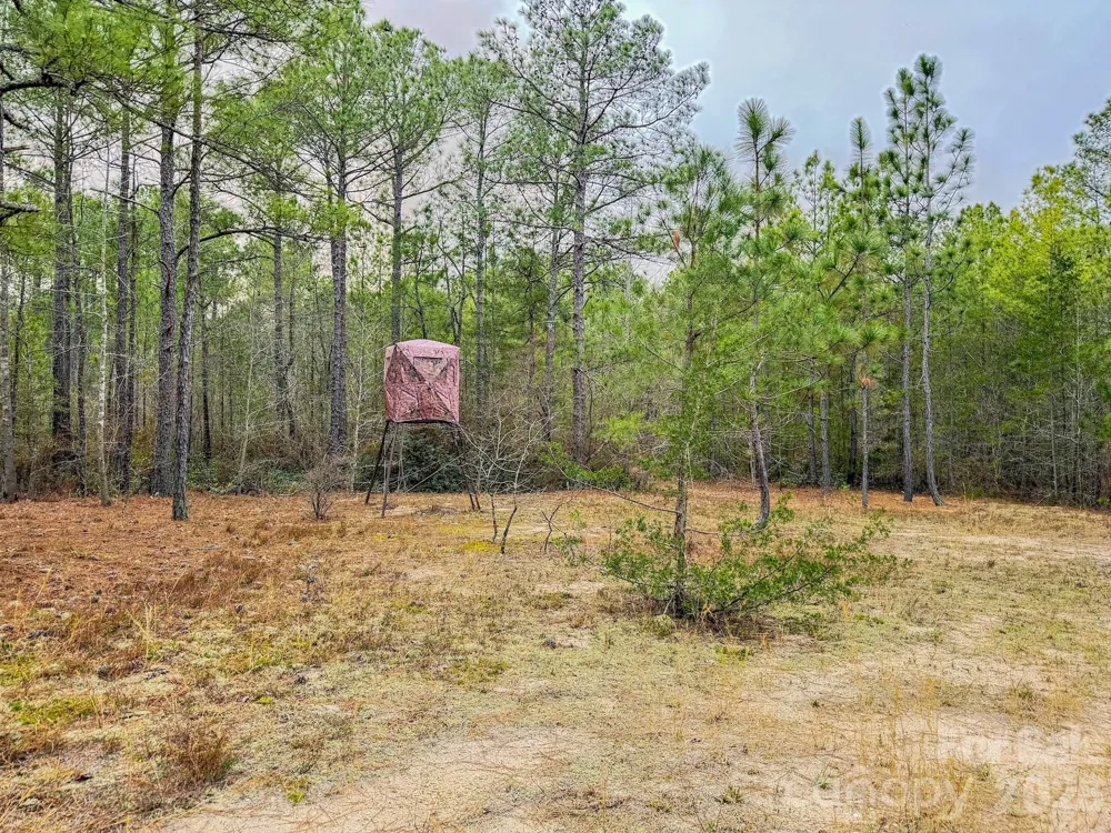 0 Lobelia Road Vass, NC 28394