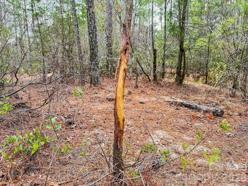 0 Lobelia Road Vass, NC 28394