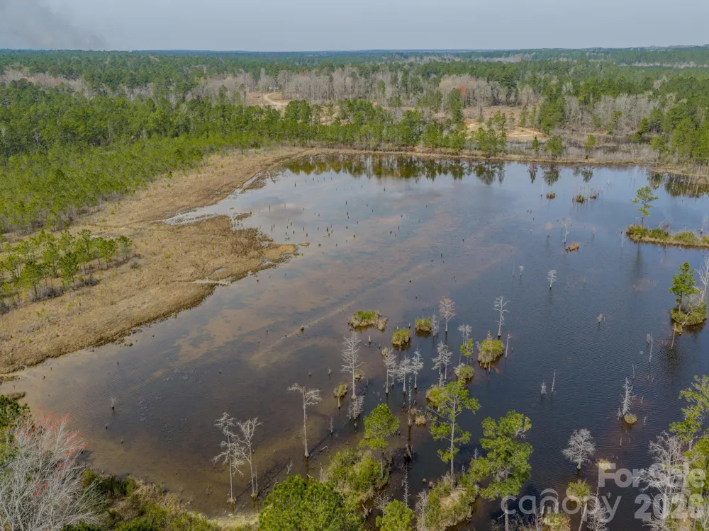 0 Lobelia Road Vass, NC 28394
