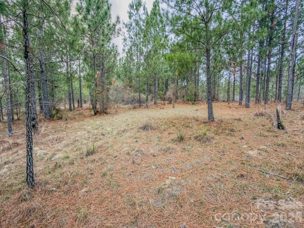 0 Lobelia Road Vass, NC 28394