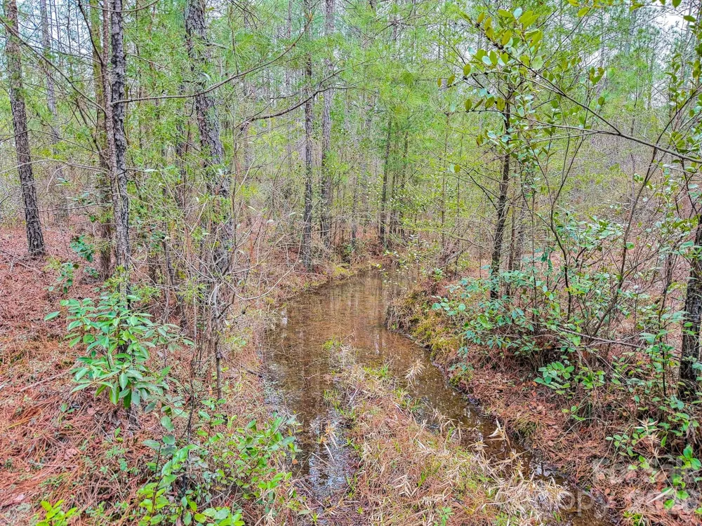 0 Lobelia Road Vass, NC 28394