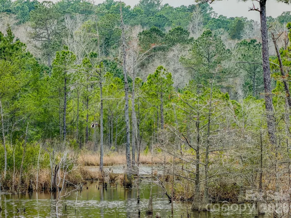 0 Lobelia Road Vass, NC 28394