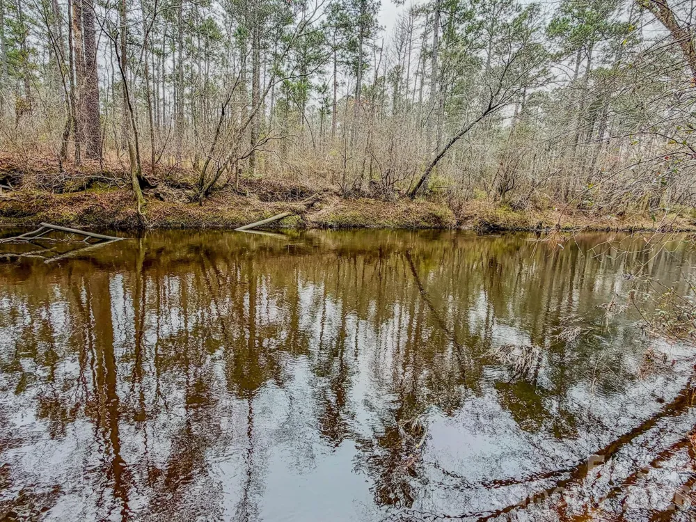 0 Lobelia Road Vass, NC 28394