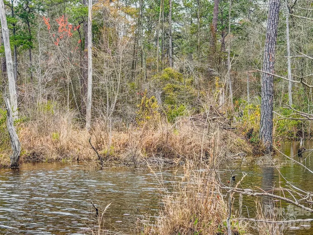 0 Lobelia Road Vass, NC 28394