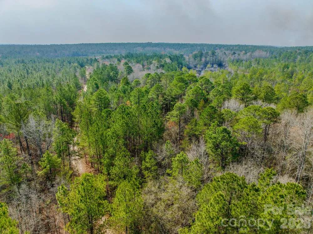 0 Lobelia Road Vass, NC 28394