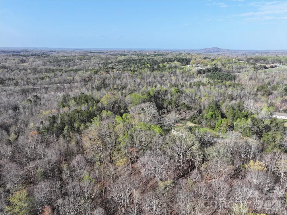 1164 Robert C Kellam Road Pinnacle, NC 27043