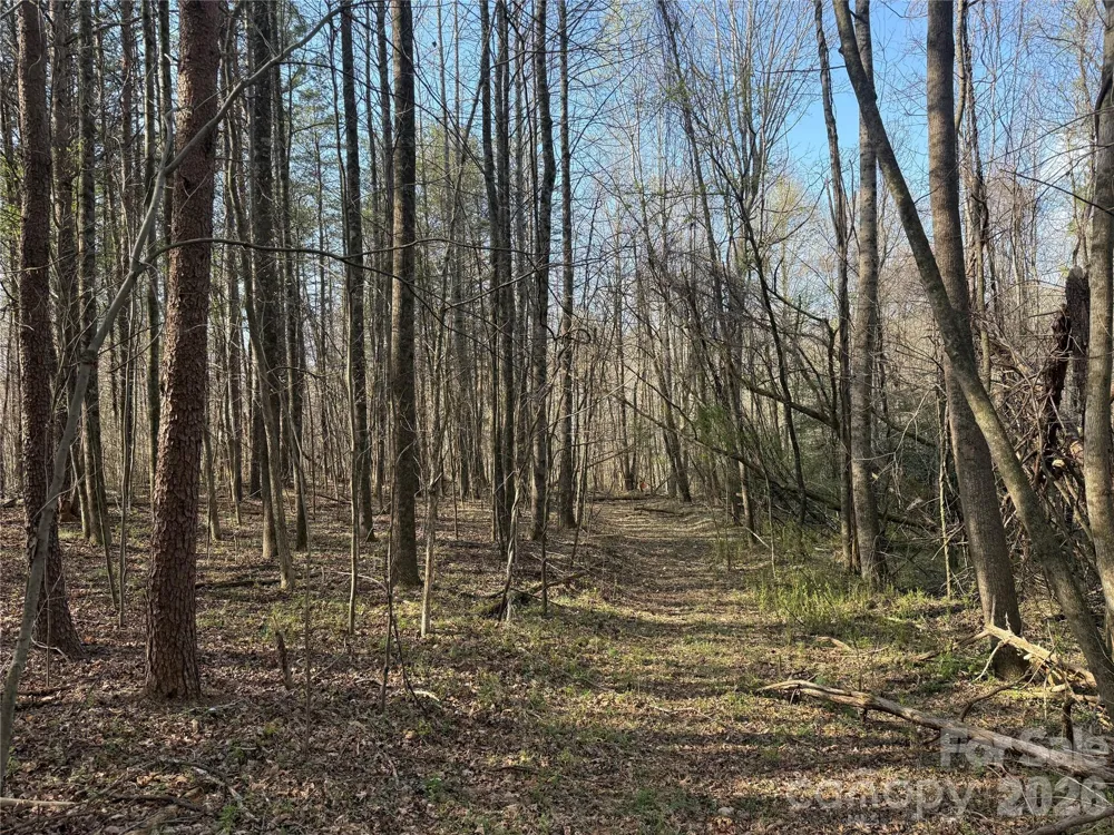 1164 Robert C Kellam Road Pinnacle, NC 27043