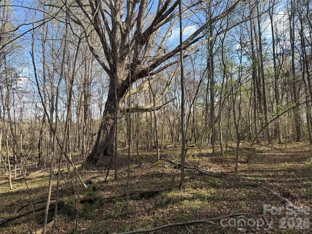 1164 Robert C Kellam Road Pinnacle, NC 27043