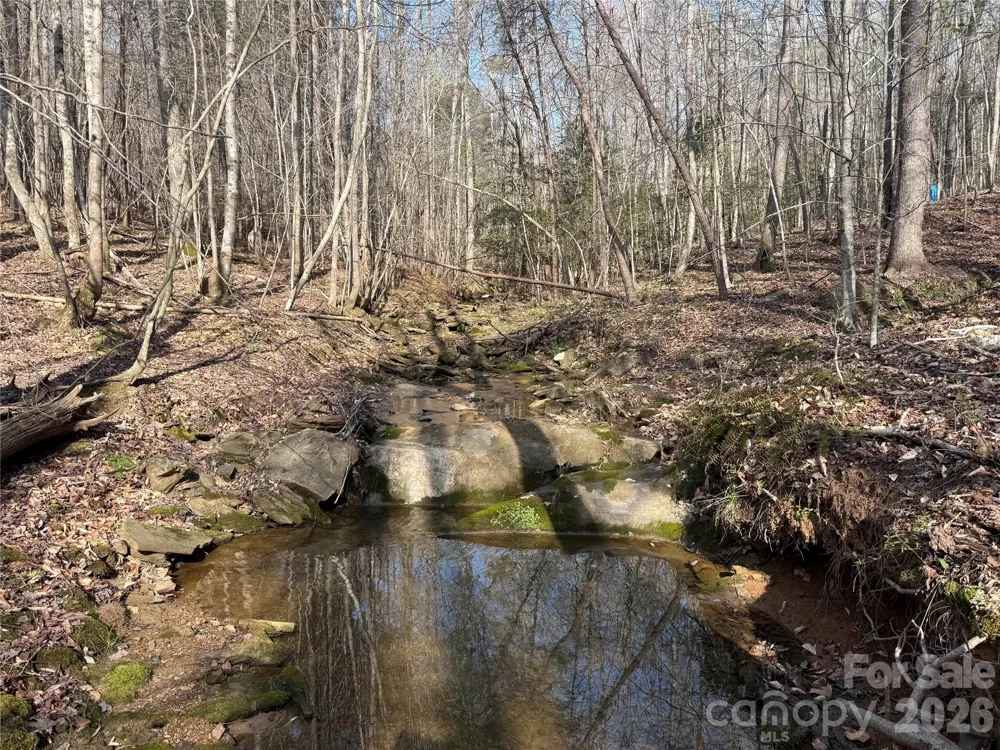 1164 Robert C Kellam Road Pinnacle, NC 27043