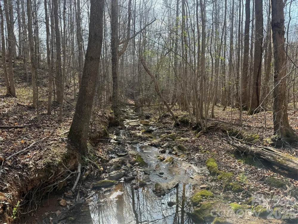 1164 Robert C Kellam Road Pinnacle, NC 27043