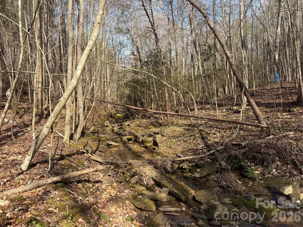 1164 Robert C Kellam Road Pinnacle, NC 27043