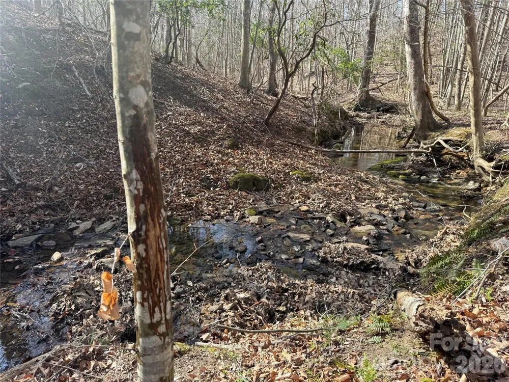 1164 Robert C Kellam Road Pinnacle, NC 27043
