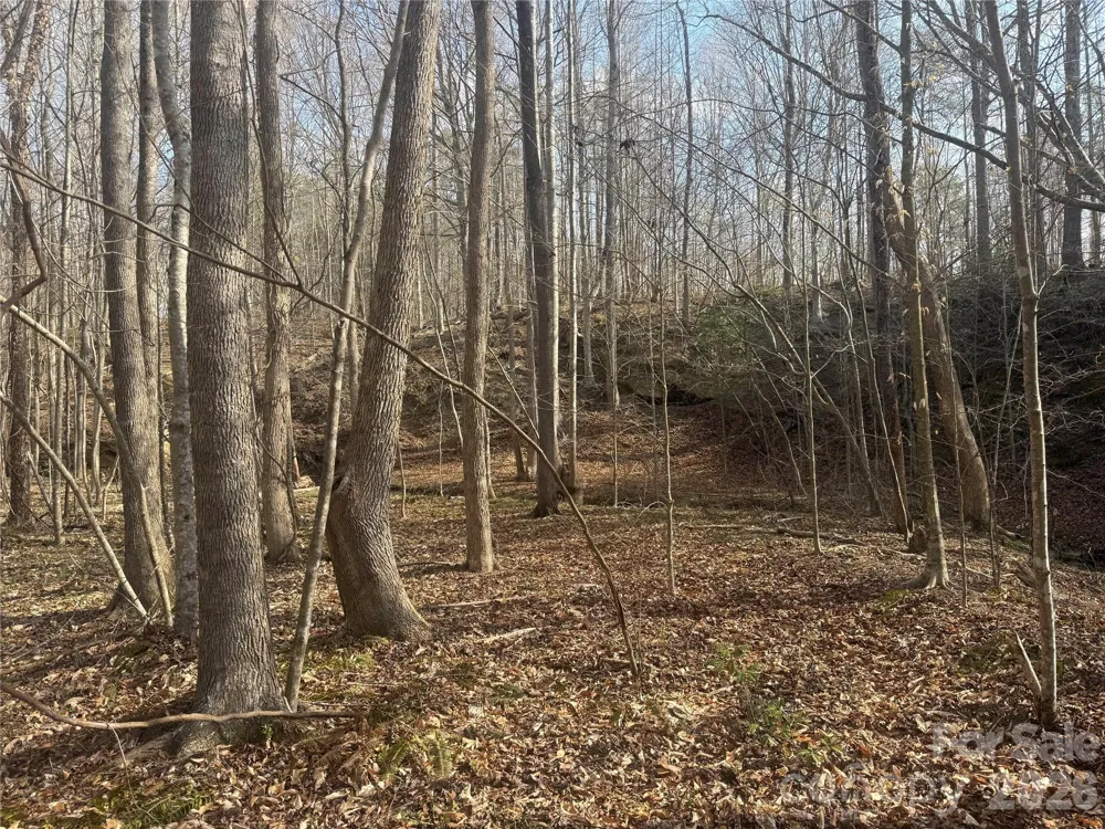 1164 Robert C Kellam Road Pinnacle, NC 27043